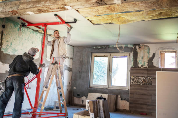 Best Cellulose Insulation in Fort Bliss, TX
